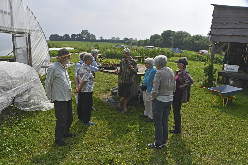 Introduktion til Calendula Permakultur