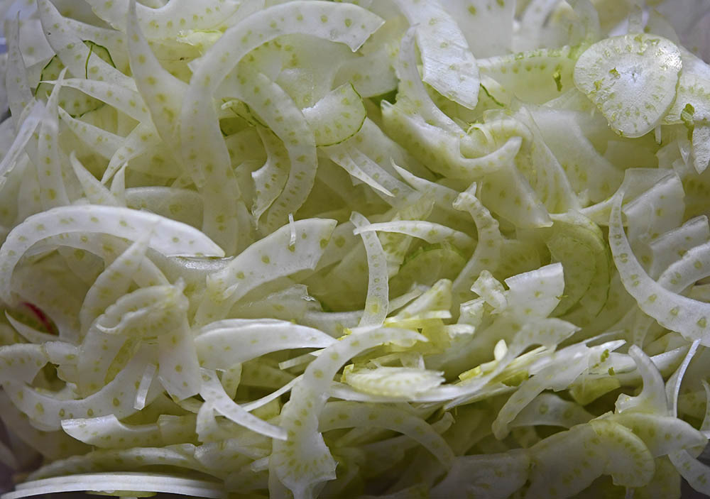 Snittet knoldfennikel.