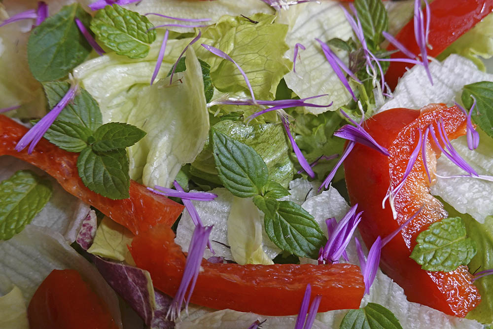 Salat med med kronblade fra nyengelsk asters blomst