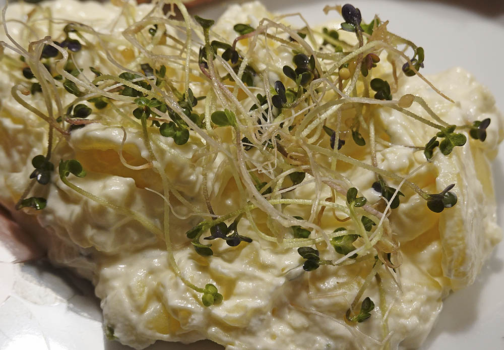 Gul sennep spirer pkartoffelsalat