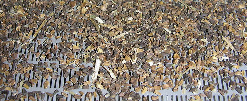 Rist til fr�t�rring