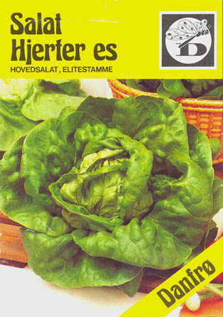 Havesalat, hovedsalat, Hjerter es, Lactuca sativa </i>L. var. <i>capitata