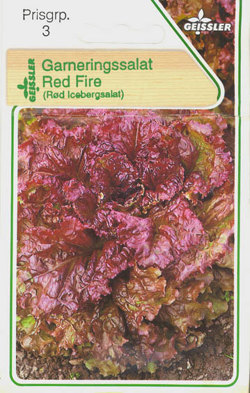 Havesalat, hovedsalat, Red Fire, Lactuca sativa </i>L. var. <i>capitata