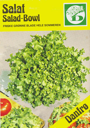 Havesalat, pluksalat, Salad Bowl, Lactuca sativa </i>L. var. <i>crispa