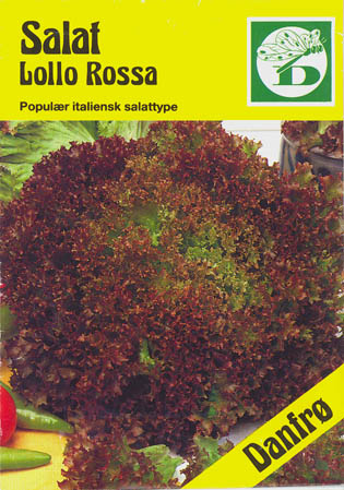 Havesalat, pluksalat, Lollo Rossa, Lactuca sativa </i>L. var. <i>crispa