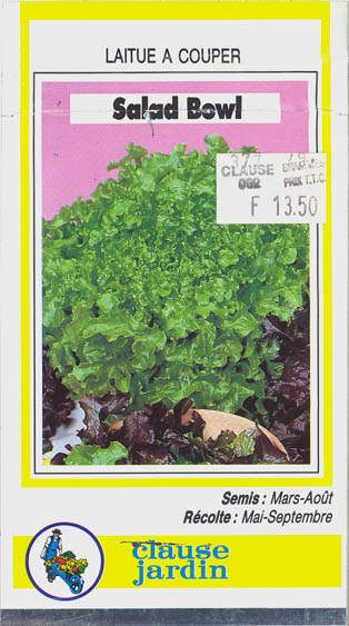 Havesalat, pluksalat, Salad Bowl, Lactuca sativa </i>L. var. <i>crispa