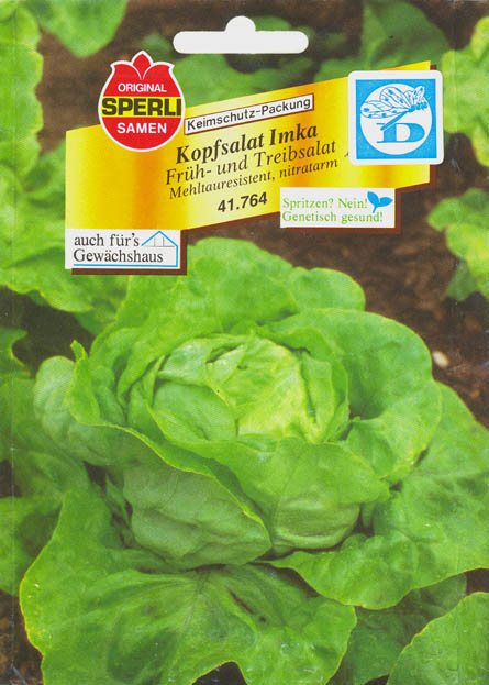 Havesalat, hovedsalat, Imka, Lactuca sativa </i>L. var. <i>capitata