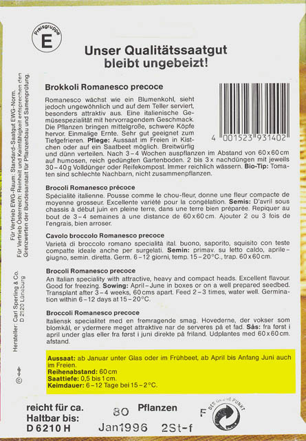 Broccoli, Romanesco precoce, Brassica oleracea </i>L. var. <i>italica