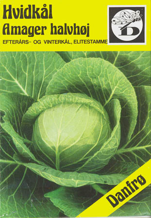 Hvidkl, Amager halvhj, Brassica oleracea </i>L. var. <i>alba