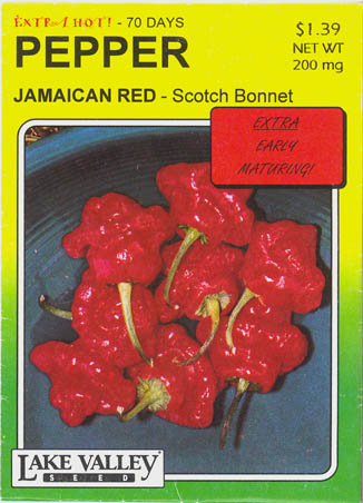 Ringbgret chili, Scotch Bonnet, Capsicum chinense