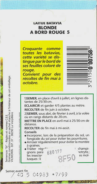 Havesalat, hovedsalat, Blonde a bord rouge 5, Lactuca sativa </i>L. var. <i>capitata