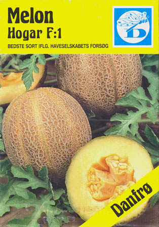 Melon, Hogar F1, Cucumis melo </i>L.<i>