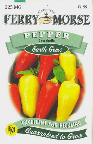 Chilipeber, Cascabella, Capsicum annuum </i>L.<i>