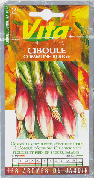 Pibelg, Ciboule, Allium fistulosum </i>L<i>