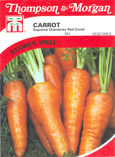 Gulerod, Chantenay Red Cored, Daucus carota </i>L. subsp.<i> sativus