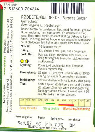 Rdbede, Burpees Golden, Beta vulgaris </i>L. var.<i> vulgaris