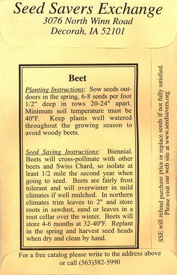 Rdbede, Albino, Beta vulgaris </i>L. var.<i> vulgaris