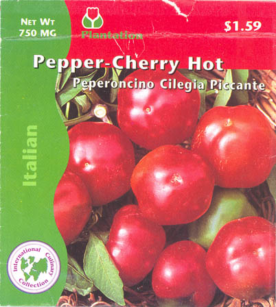 Chilipeber, Cherry Hot, Capsicum annuum </i>L.<i>