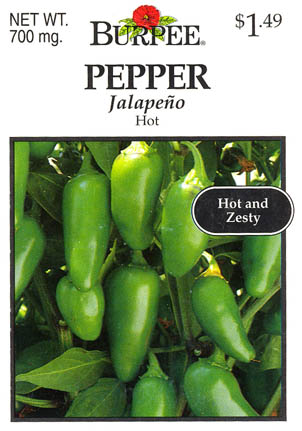 Chilipeber, Jalapeo, Capsicum annuum </i>L.<i>