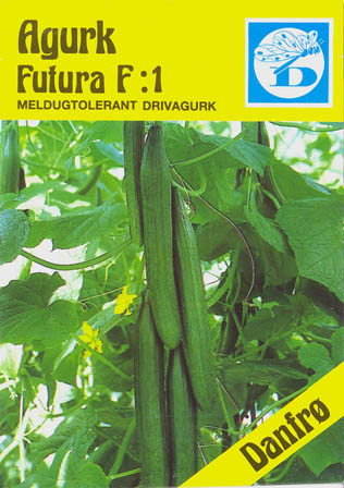 Agurk, Futura F1, Cucumis sativus </i>L.<i>