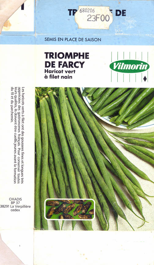 Havebnne, Triomphe de Farcy, Phaseolus vulgaris </i>L.<i>