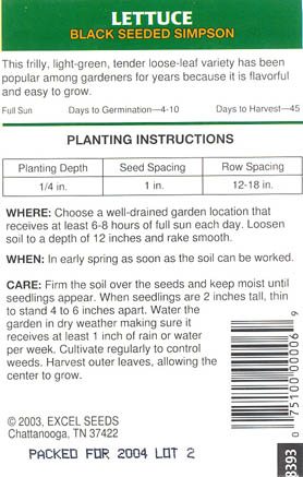 Havesalat, pluksalat, Black Seeded Simpson, Lactuca sativa </i>L. var. <i>crispa