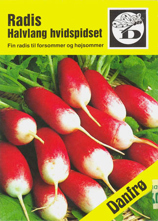 Radis, Halvlang hvidspidset, Raphanus sativa </i>L.<i>