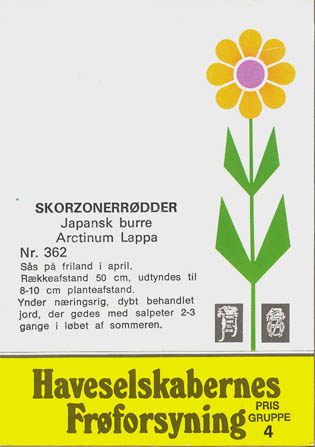 Skorzonerrod, Japansk burre, Scorzonera hispanica </i>L.<i>