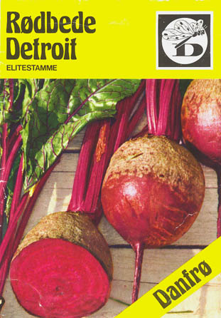 Rdbede, Detroit, Beta vulgaris </i>L. var.<i> vulgaris