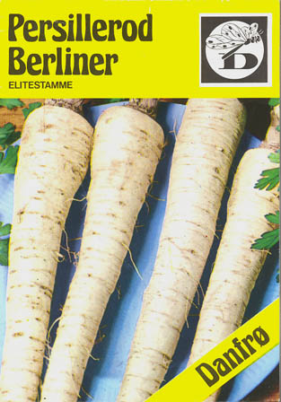 Rodpersille, Berliner, Petroselinum crispum </i>var.<i> tuberosum