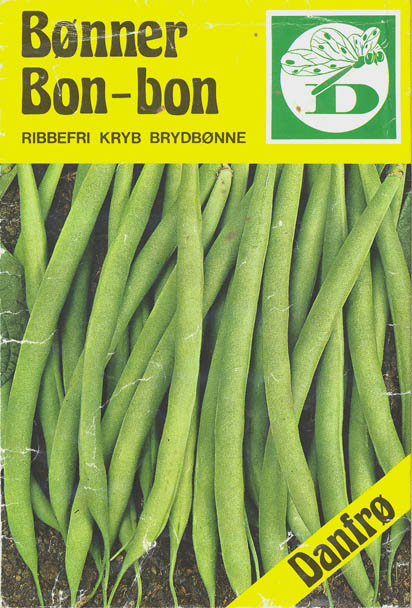 Havebnne, Bon-Bon, Phaseolus vulgaris </i>L.<i>